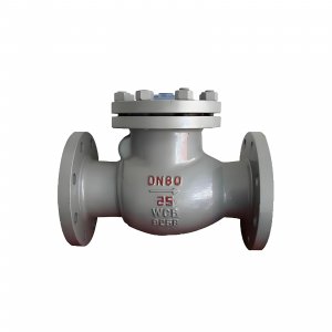 DN50 PN25 介質：甲胺，溫度：80℃止回閥