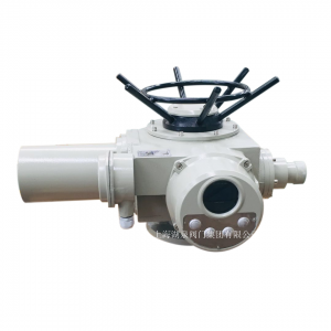 上海閥門(mén)電動(dòng)裝置物聯(lián)網(wǎng)z45-24智能型